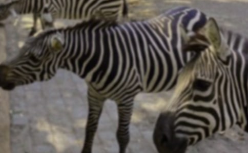 ���Rؐ�ĺ�(ji��n)��-���Rؐ��ʲô������