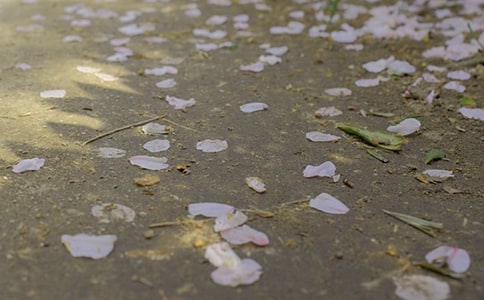 �±�������