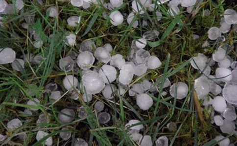 冬天的冰雹優(yōu)秀作文