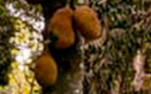 ���}������(��15ƪ)