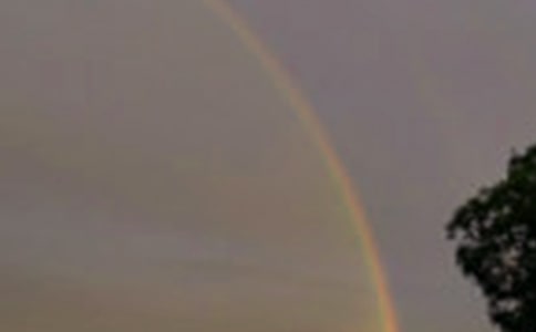 �ʺ������15ƪ[��]