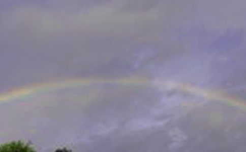 �L(f��ng)���^��Ҋ�ʺ�����