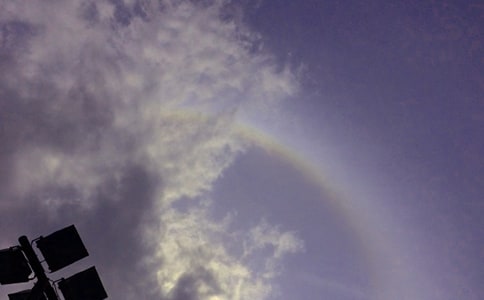 ����(y��u)�㣩�P(gu��n)�ڲʺ������