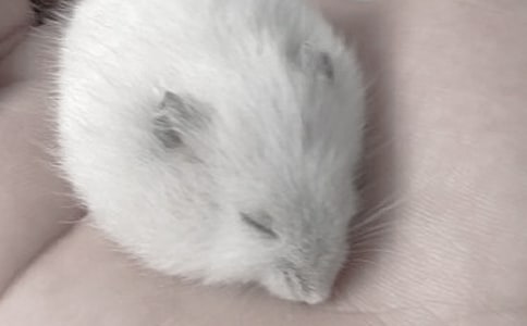 �ɐ�(��i)�Ă}(c��ng)������