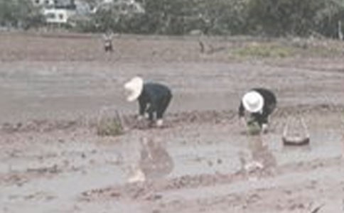 ��������450��