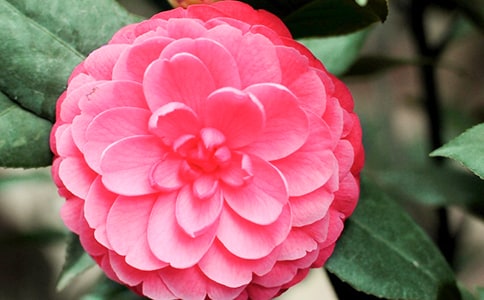 �β軨�@���ģ���2ƪ��