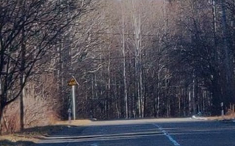 (��(j��ng)��)���L��ɽ����