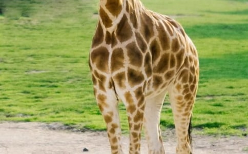 [���]]�L�i¹����