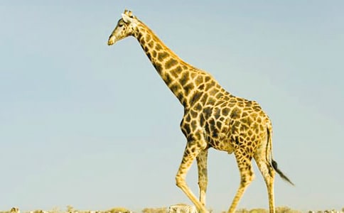 ������L�i¹��򿴈D��Ԓ