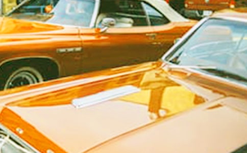 車展工作總結(jié)