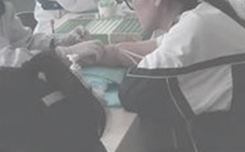 ���ϼ�����Ѫ������12ƪ