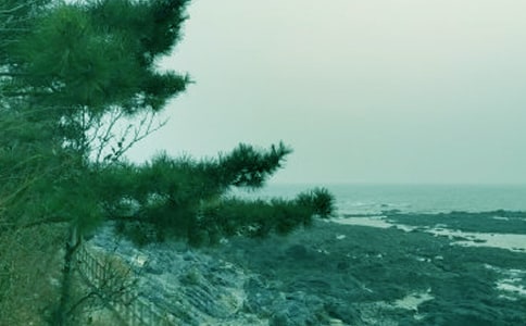 ���ݴ��L(f��ng)��Ԋ(sh��)��