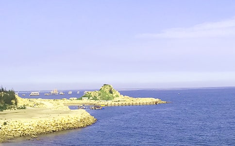 ����׌�����탞(y��u)������