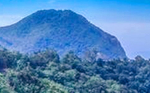 �������Ǵ�ɽ