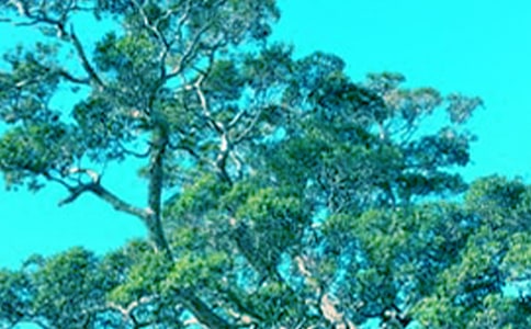 ����������ģ���(j��ng)�䣩