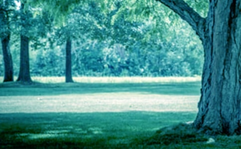 �W(xu��)��С�ݺʹ�䡷���