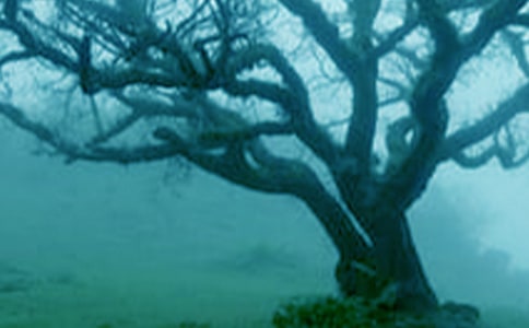 һ�ô��(sh��)����������5ƪ[�؂�]