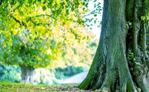 С�ݺʹ������