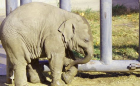 �����Ъ���Z