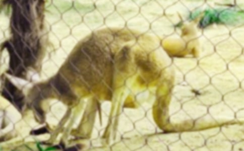 С����v�Uӛ����