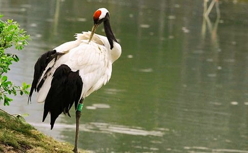 �������ĵ���Q���̌W(xu��)��(sh��)�