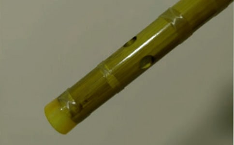 實用的笛子作文300字