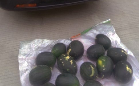 擺地?cái)傋魑?00字