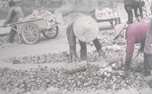 �P(gu��n)�ڵ��|(zh��)���a(ch��n)����(x��)��淶��