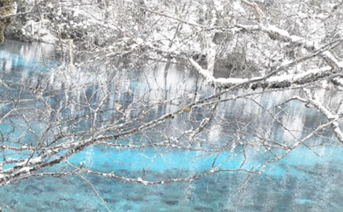 ����һ��ȥ������ɢ��