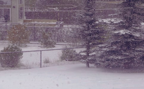 �����ϣ�����ů�����