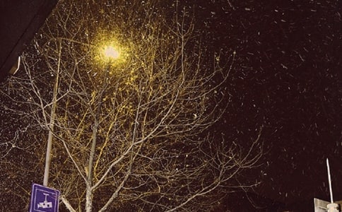 ٝ�������Ԋ�� 