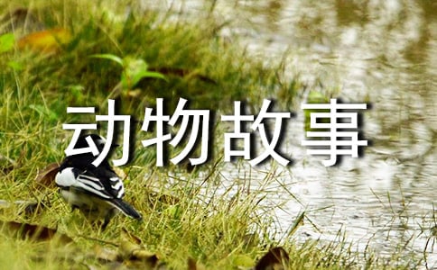 �����D������¡��x��У�ͨ��30ƪ��