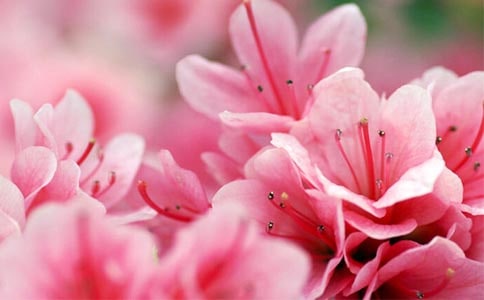 ���N�����B(y��ng)ֳ����_���N����ô�B(y��ng)