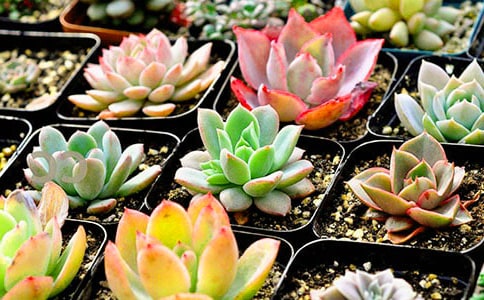 ���⃞(y��u)������