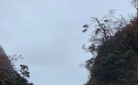 ��üɽ֮������(��(j��ng)��)