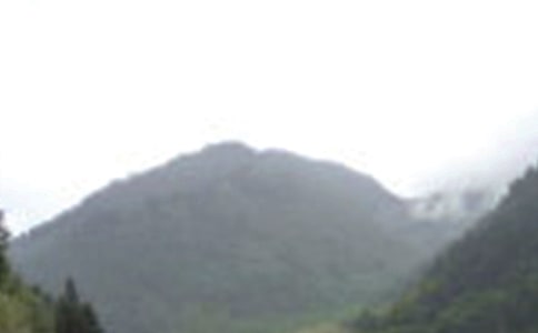 ��üɽ������