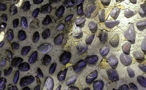 ����һ�w�Z��ʯ����