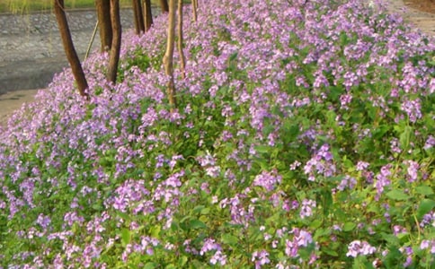 �����m�x���Pӛ