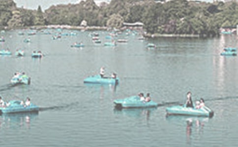 ��ҹ��������