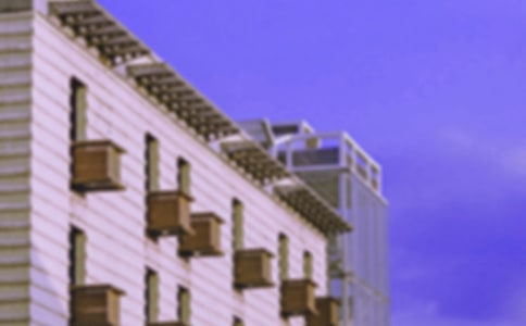 ���w�ķ������ı؂�15ƪ