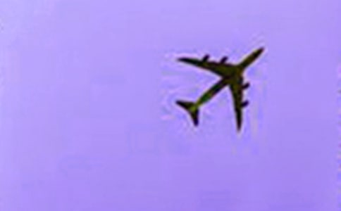 ���w�C�ĸ�������