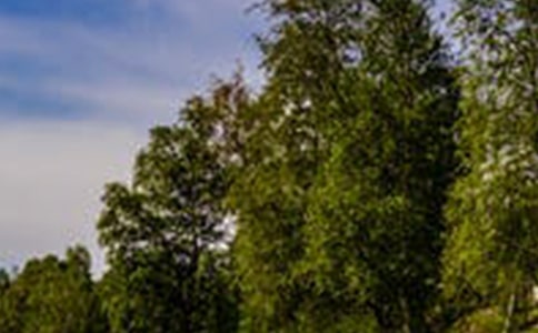 �P(gu��n)���L(f��ng)�����V�Z(y��)��ȫ