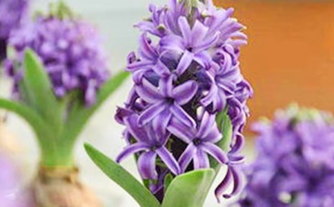 ��ͨ�á��L(f��ng)��������15ƪ