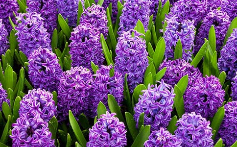 �L(f��ng)��������