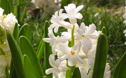 �L�������ģ����x��