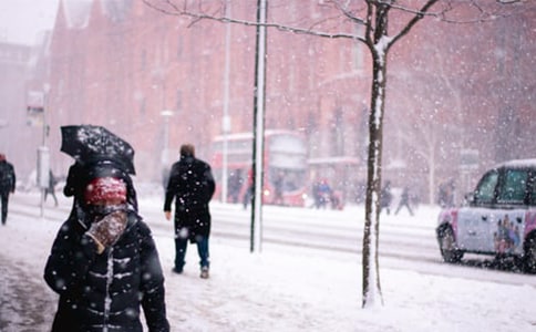 【精品】風(fēng)雪的作文300字4篇