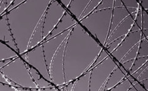 ��F����ô���ɵ��x���800��