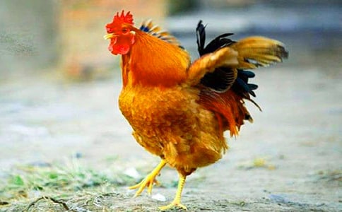 �P(gu��n)�ڹ��u�µ�Ъ���Z(y��)