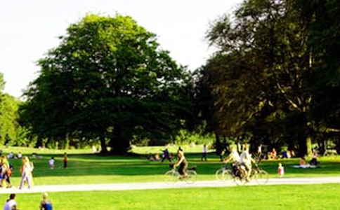 ���¾�����կ���@�Č�(d��o)���~����