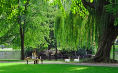 �����Ĺ��@����